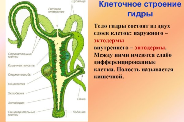 Кракен войти сегодня