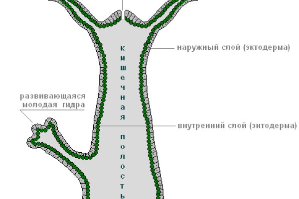 Актуальное зеркало на кракен