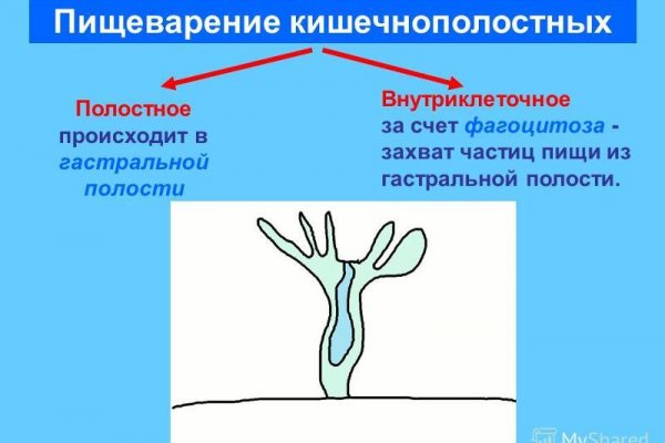 Кракен ссылка vtor