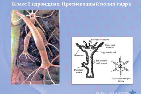 Как найти кракен шоп